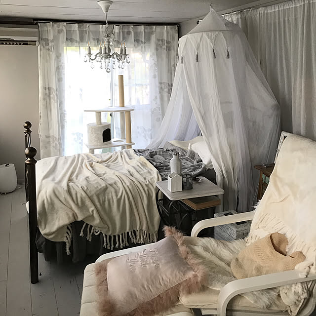 Shihoさんの実例写真