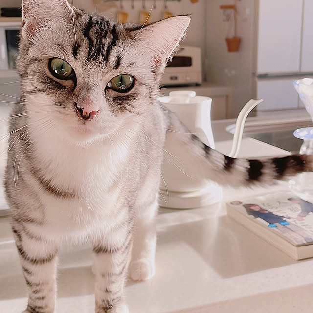 milkcocoaさんの部屋