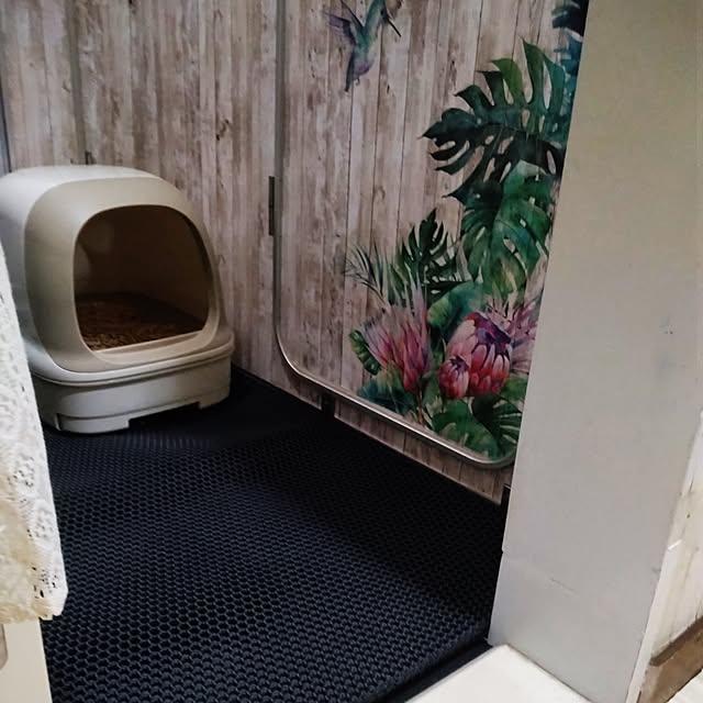 runaさんの実例写真