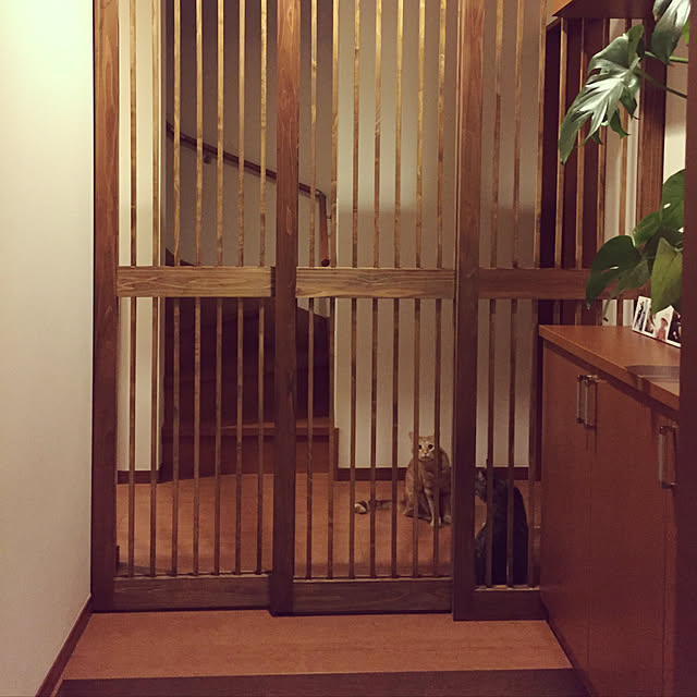 piyocchiさんの実例写真