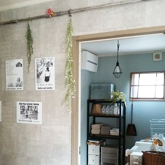 macaさんの実例写真