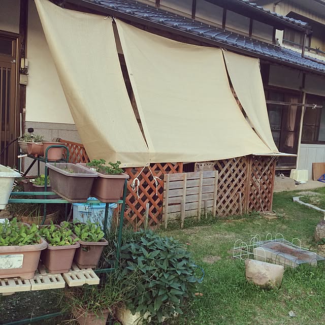 aさんの実例写真