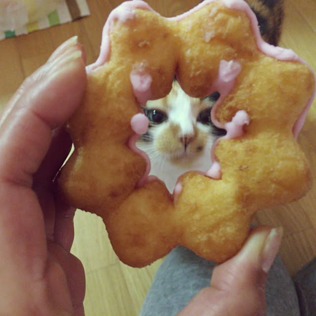 RIONさんの実例写真