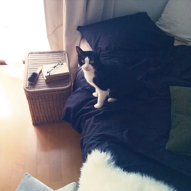 uniさんの実例写真