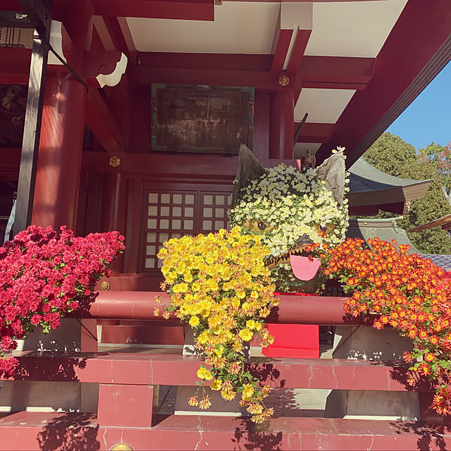 KYONさんの部屋