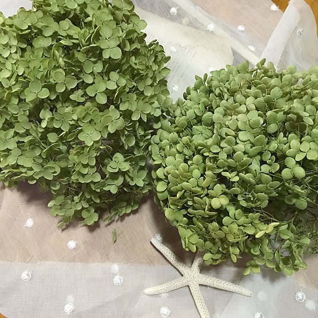 marikaさんの実例写真