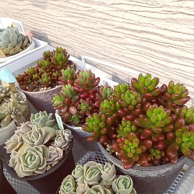 meiさんの実例写真