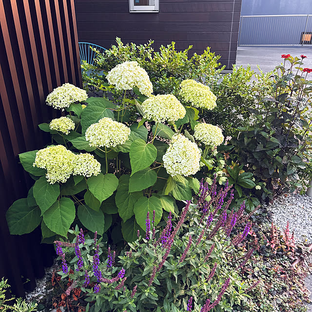 Fumさんの実例写真