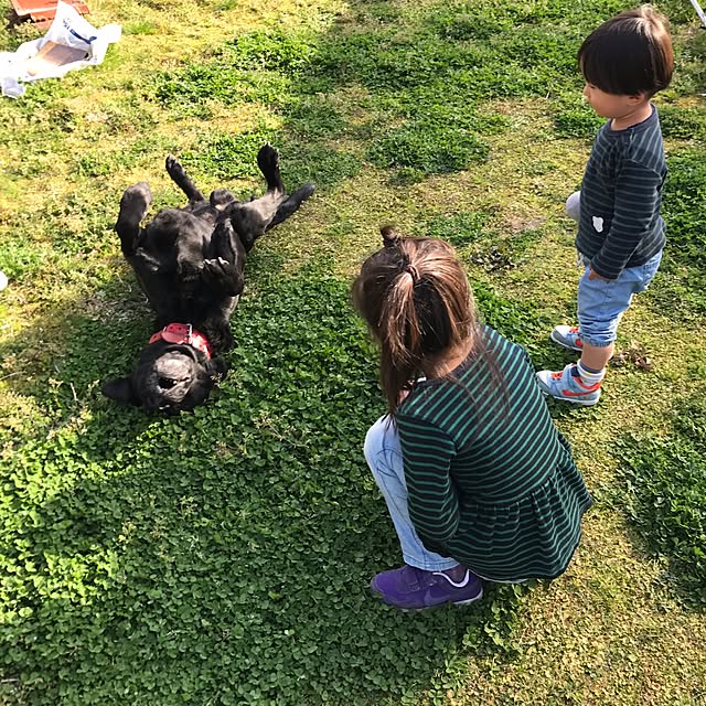 lotus2239さんの実例写真
