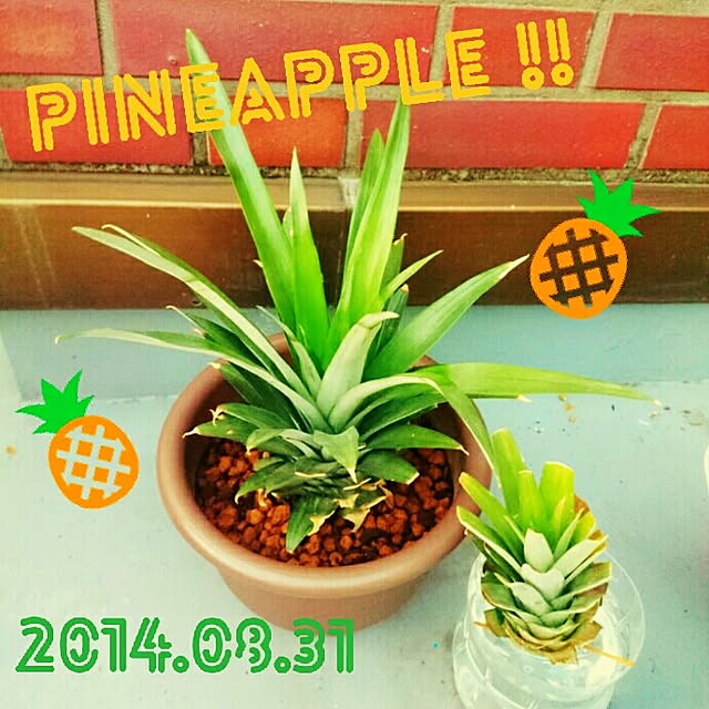 Little-Bambiさんの実例写真