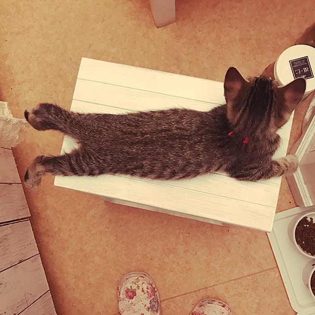 emikoさんの実例写真