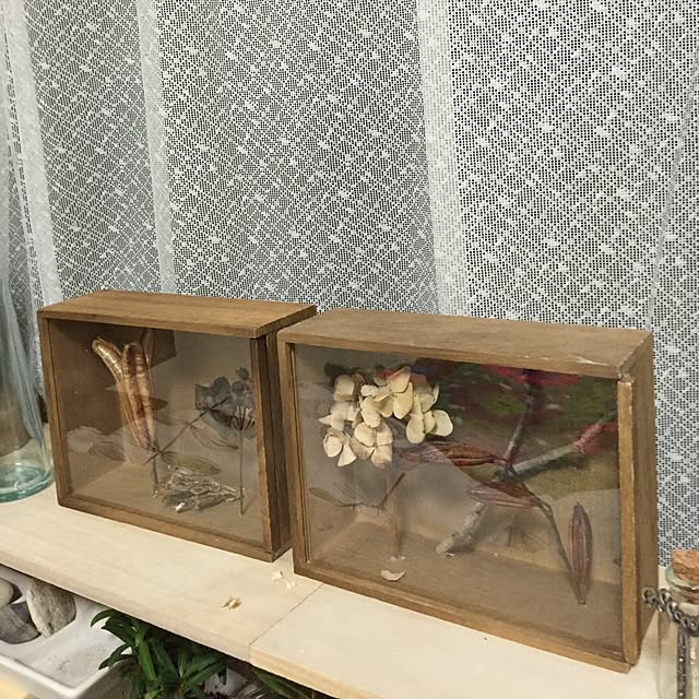 Norikoさんの実例写真