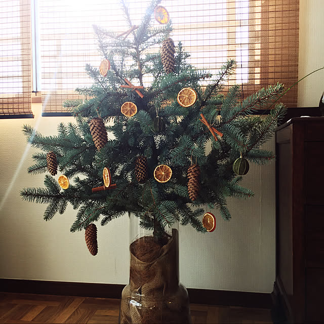 ramさんの実例写真