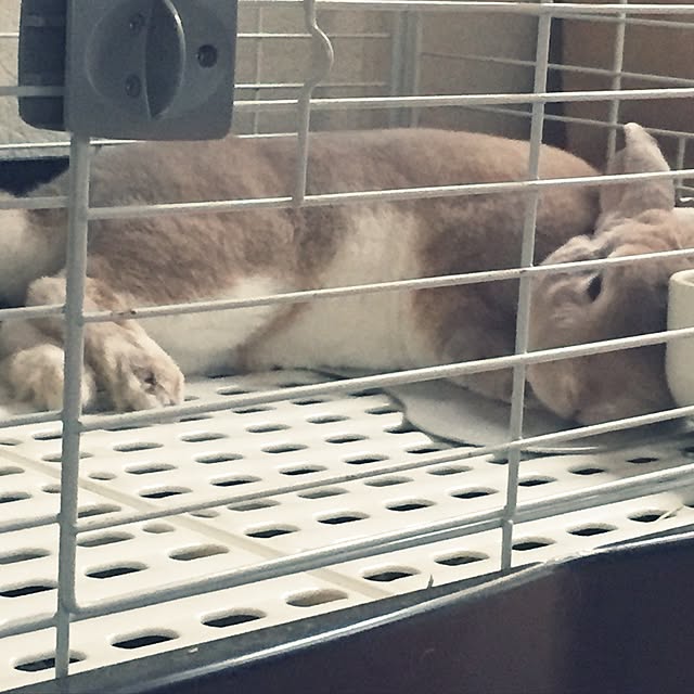 fruity anさんの実例写真