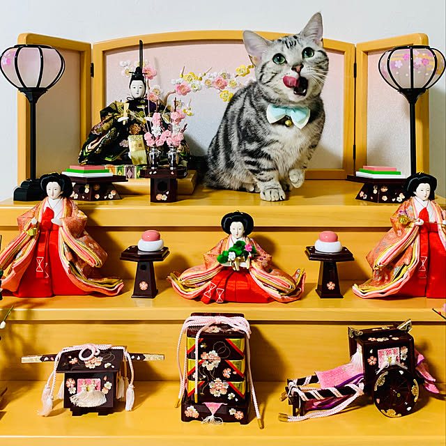 shihoさんの実例写真
