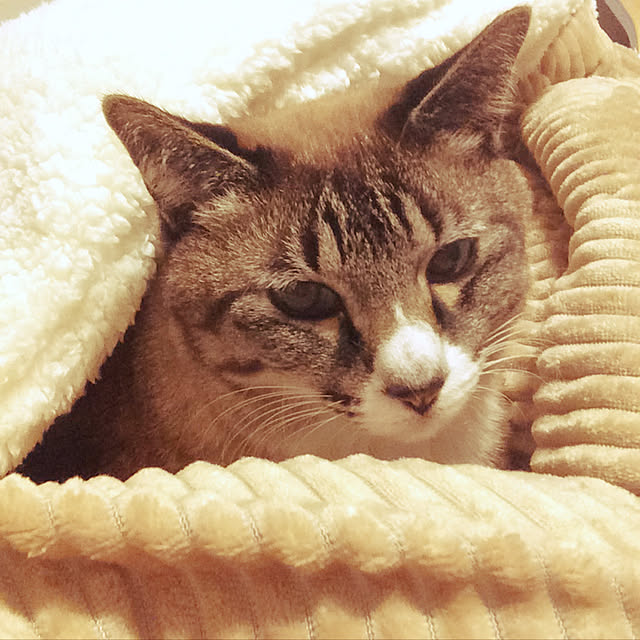 Liaさんの実例写真