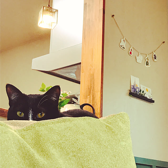 harukaさんの実例写真