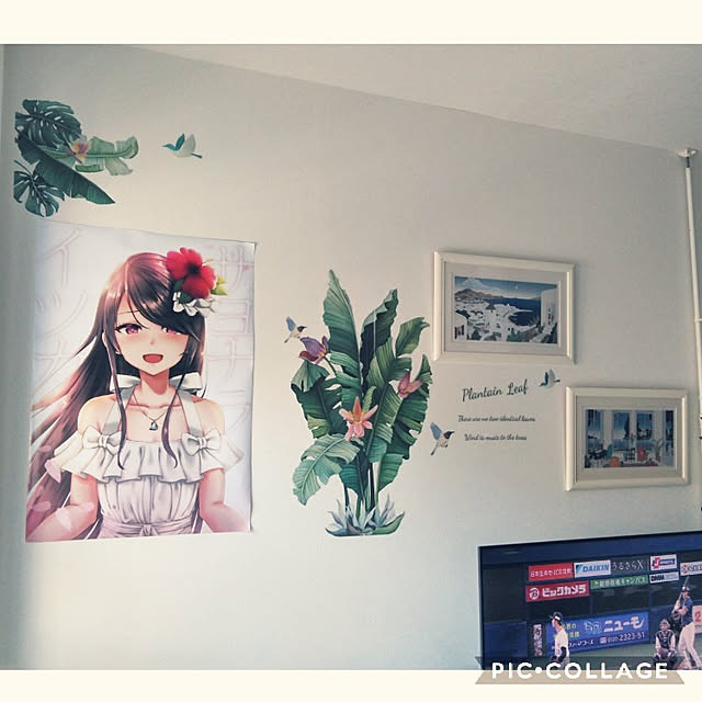futukoさんの実例写真