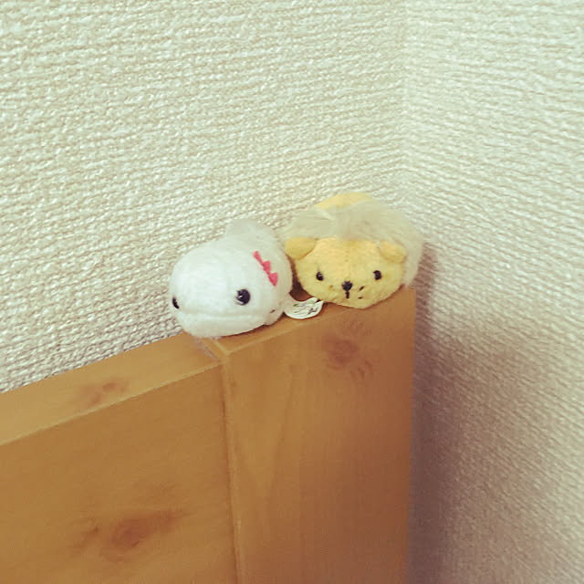 hf8922さんの実例写真
