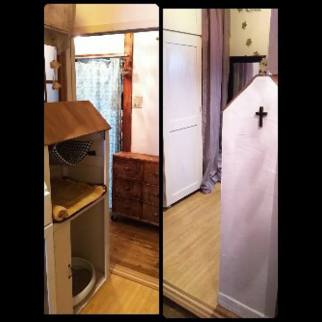 kurumiさんの実例写真