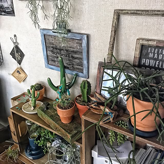 chobiさんの実例写真