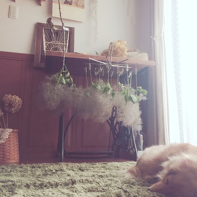 choco_tanさんの実例写真