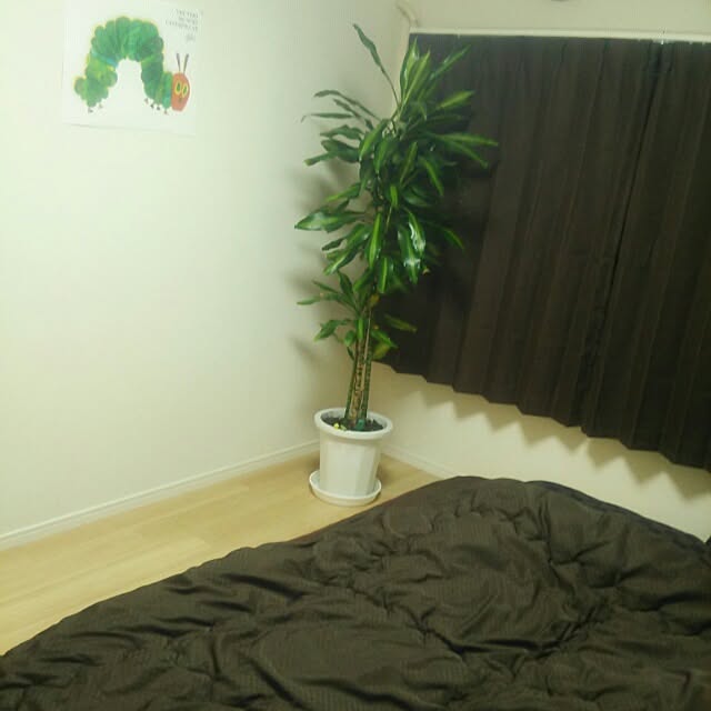 noguchiken0102さんの実例写真