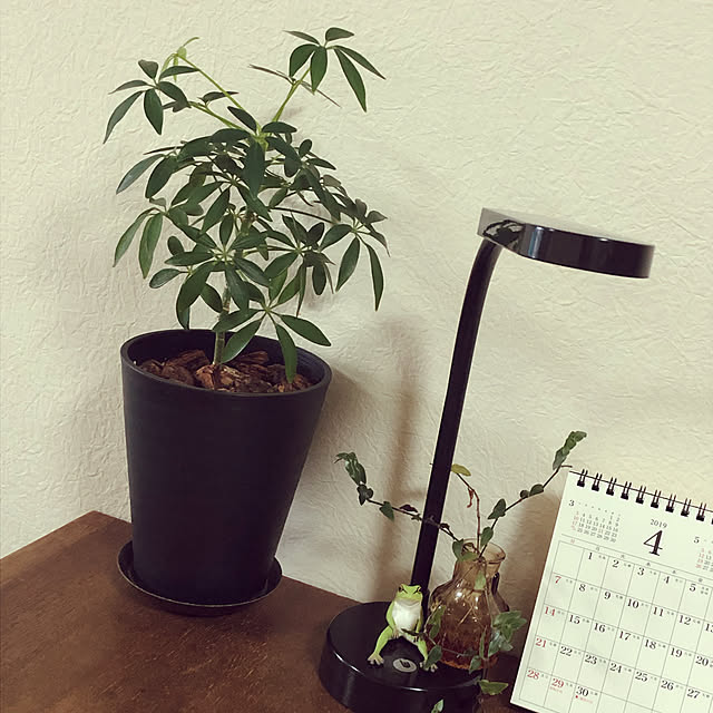 yukさんの実例写真
