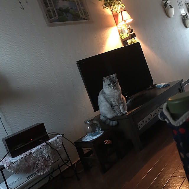照明/棚のインテリア実例 - 2019-12-24 22:35:04
