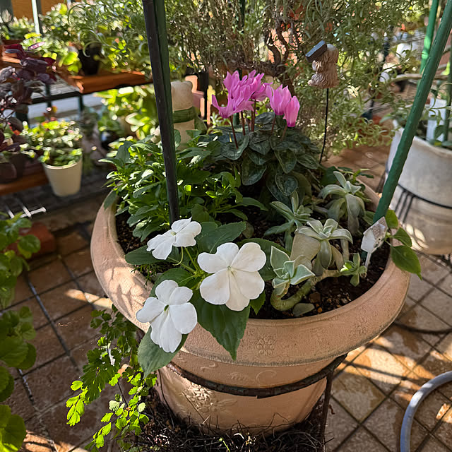 Aqettyさんの部屋