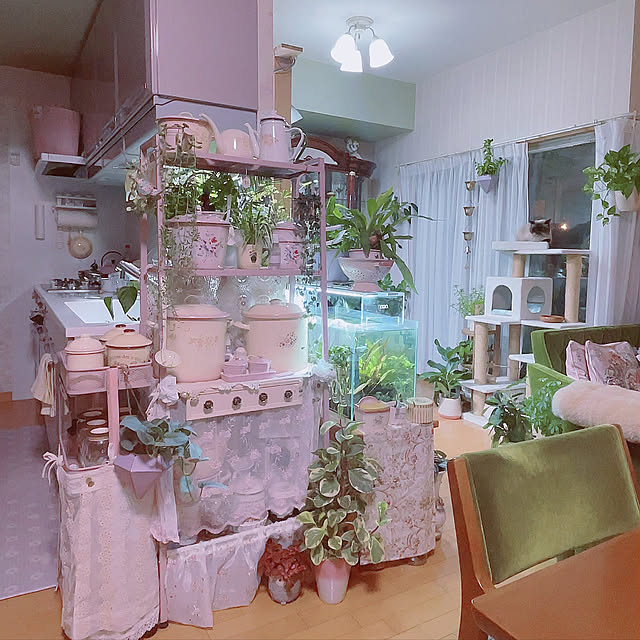 Nylさんの実例写真