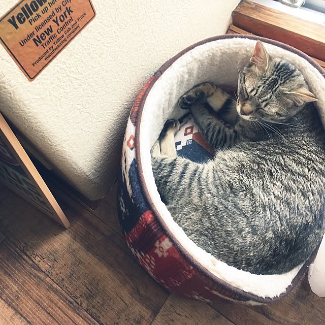sayasさんの実例写真