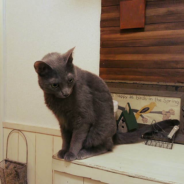 tomo1220さんの実例写真