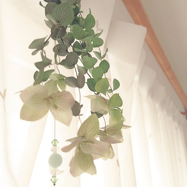 naturekamさんの実例写真