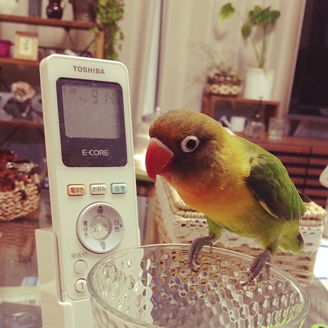 shoさんの実例写真
