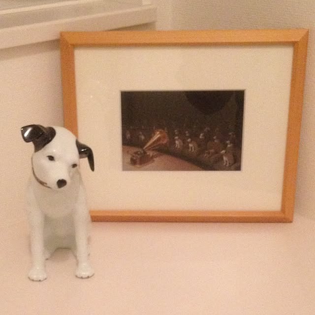 ymizさんの実例写真