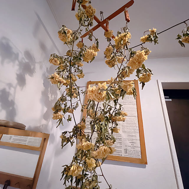 okkunさんの部屋