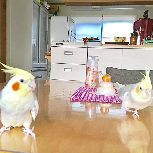 puriyuzuさんの実例写真