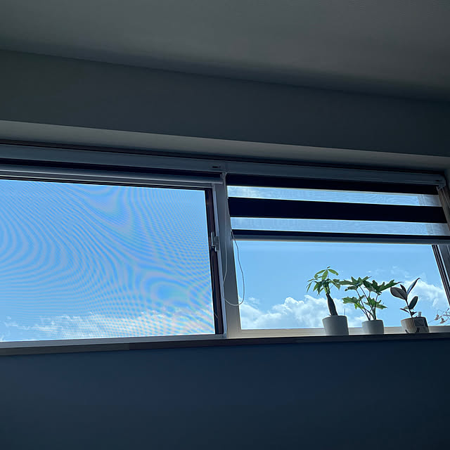 hoshiさんの実例写真