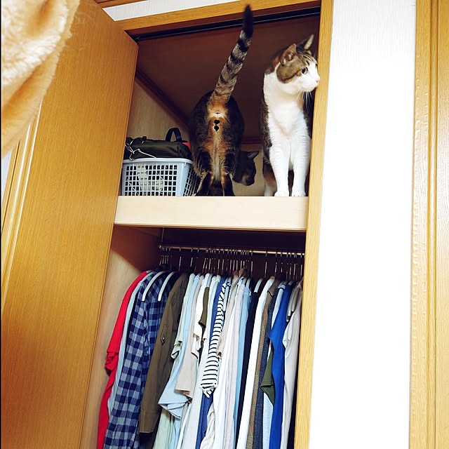 nachiさんの実例写真