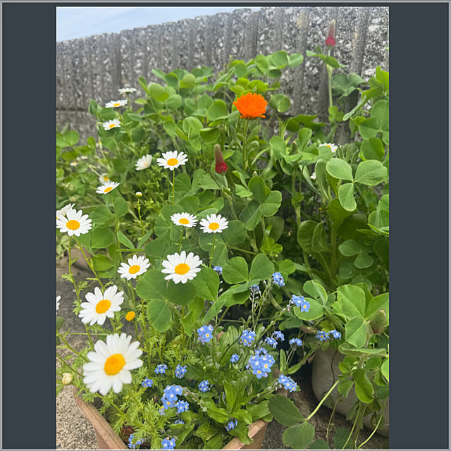 kimiさんの実例写真