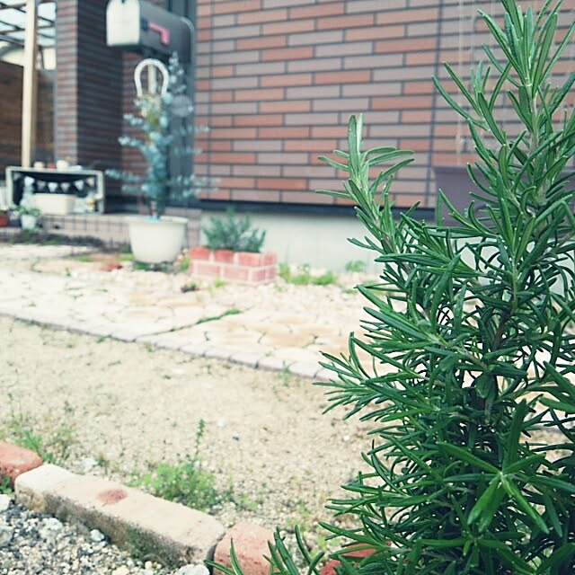 miiさんの実例写真