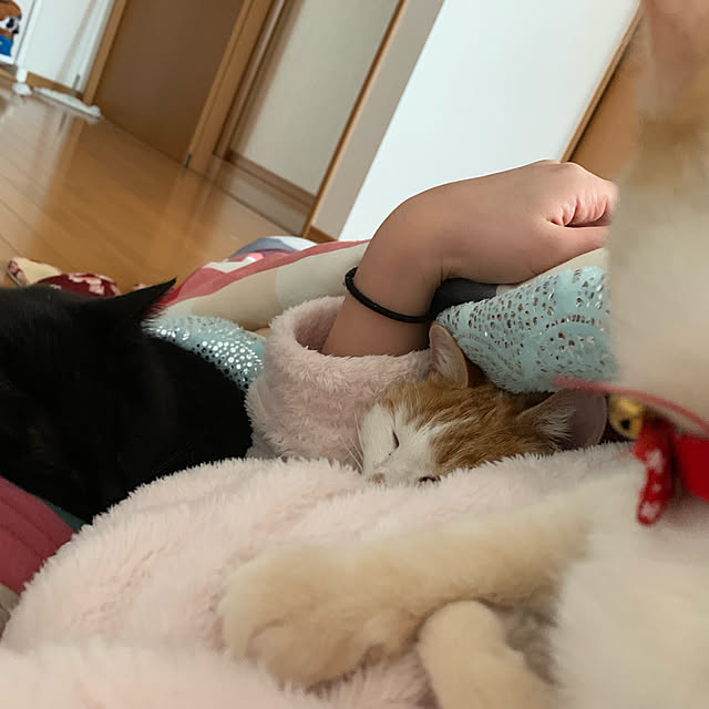 haryu1202さんの実例写真