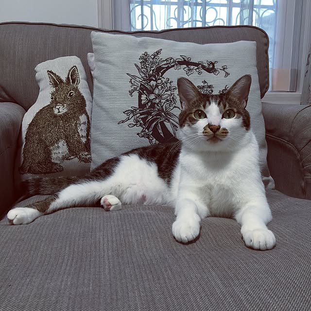 yuchiさんの実例写真
