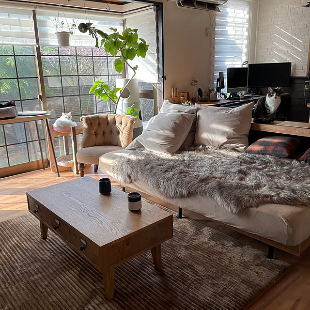Yukinekoさんの部屋