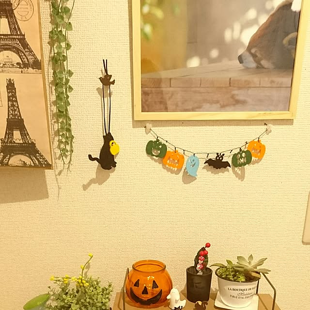 kotoさんの実例写真