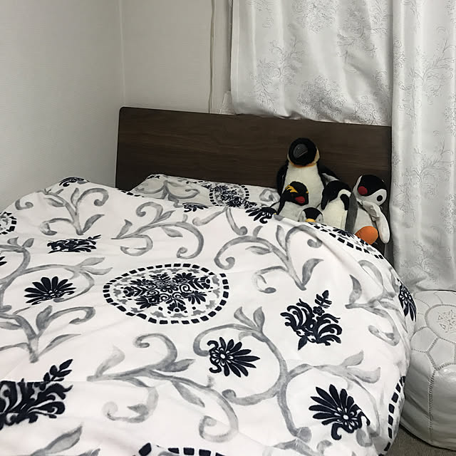 shiroさんの実例写真