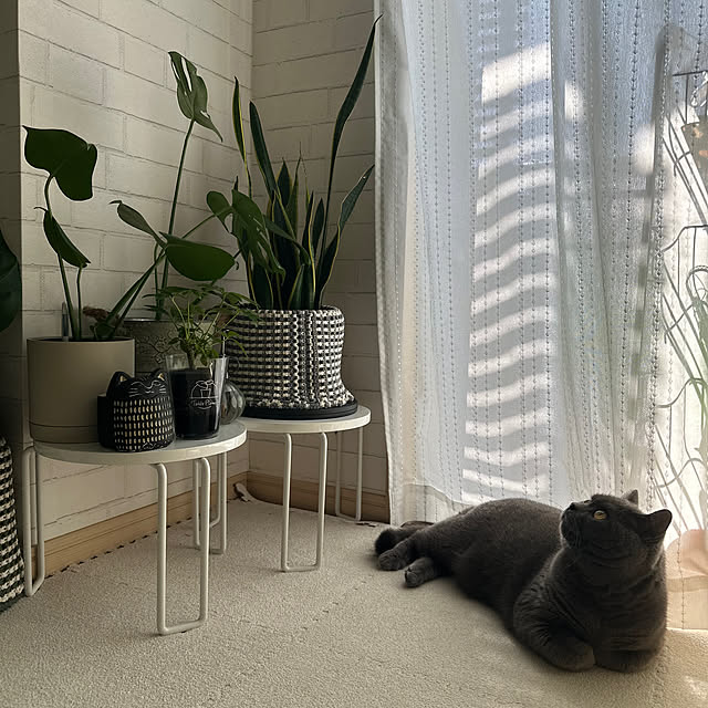 kittyさんの部屋