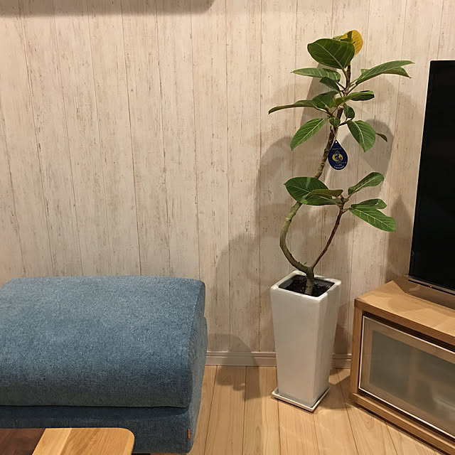 akoさんの実例写真