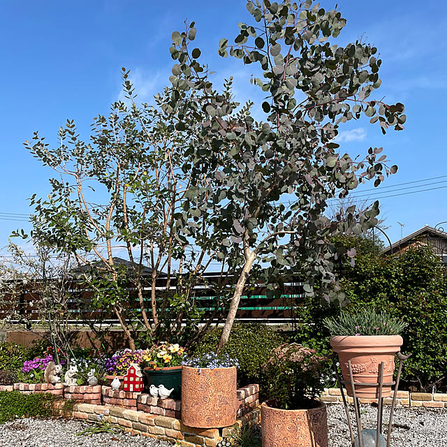 ronronさんの部屋